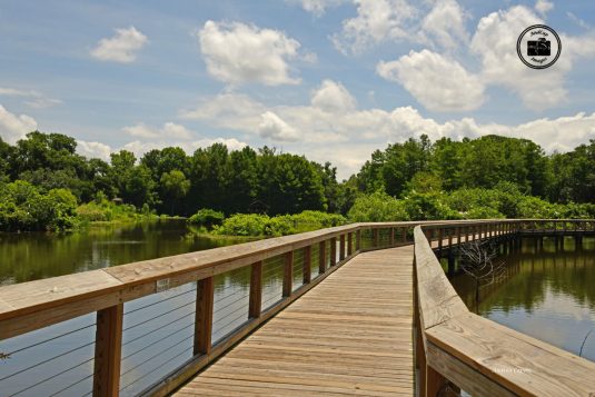 Cypress Wetlands 2