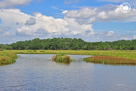 Donnelley Wildlife 2