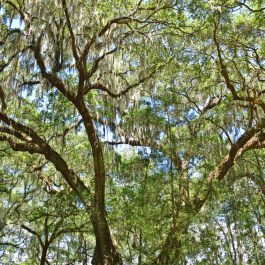 Donnelley Wildlife 3