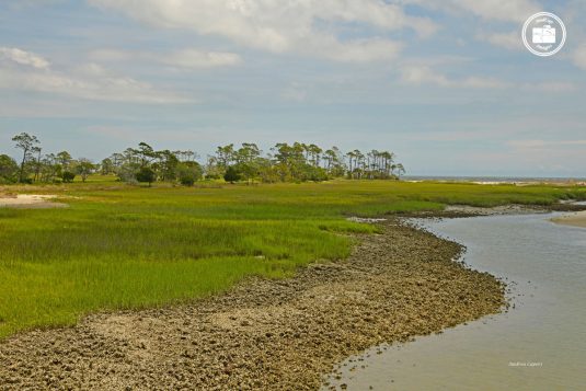 Hunting Island 1
