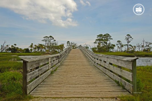 Hunting Island 3