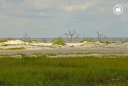 Hunting Island 4