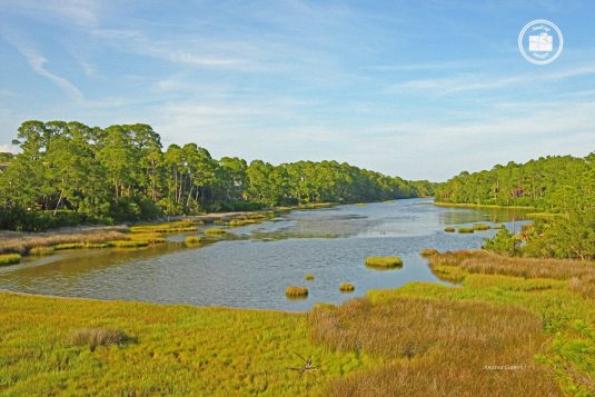Kiawah Island 1