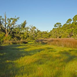 Kiawah Island 2