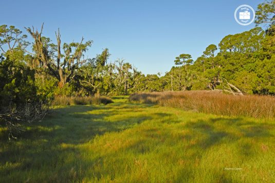 Kiawah Island 2