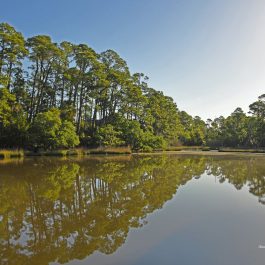 Kiawah Island 3