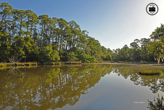 Kiawah Island 3