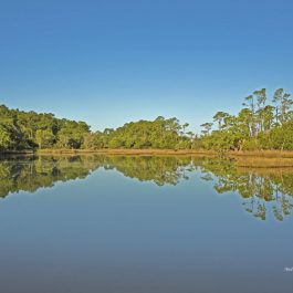 Kiawah Island 4
