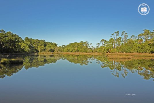 Kiawah Island 4