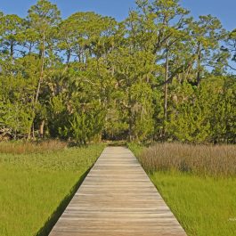 Kiawah Island 6