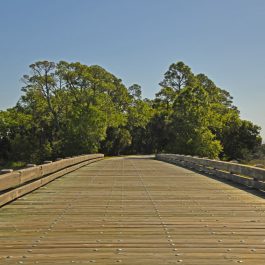 Kiawah Island 7
