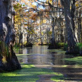 Louisiana
