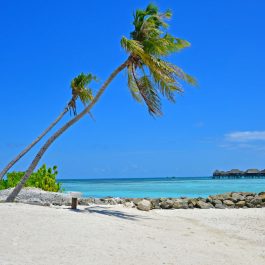 Maldives 1