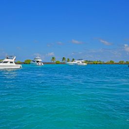 Maldives 2