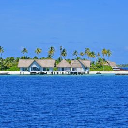 Maldives 3