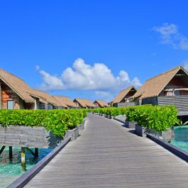 Maldives 8