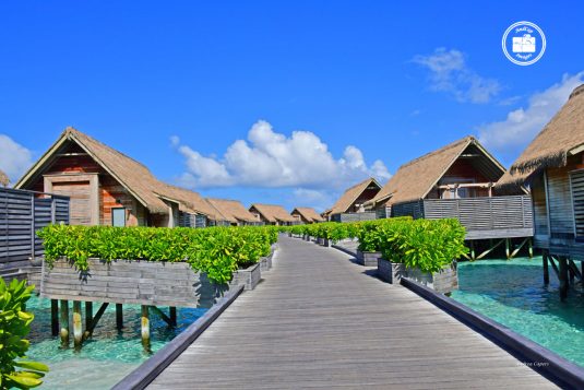 Maldives 8