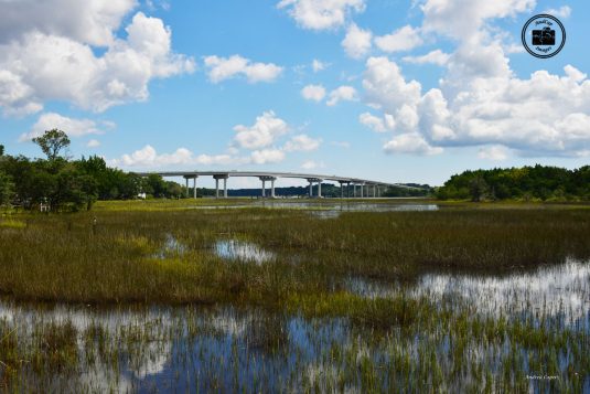 Stono River County Park 1