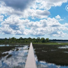 Stono River County Park drone 1