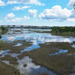 Stono River County Park drone 2